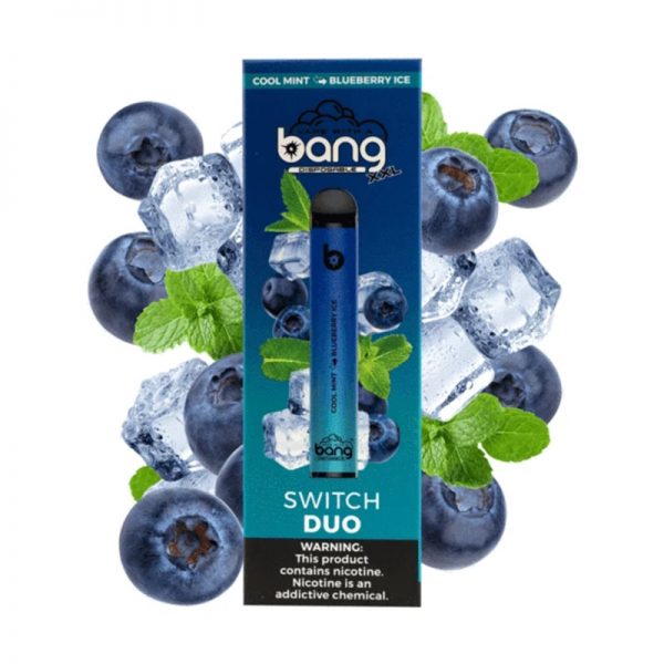 bang Switch Duo Disposable Vape Pod Device Wholesale (2500 Puffs)