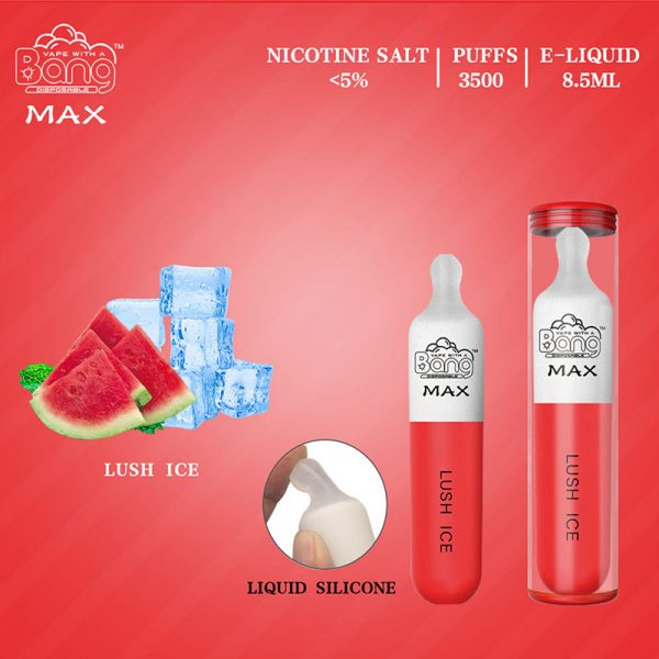 Bang Max Disposable Vape Pod Device Wholesale (3500 Puffs) - Image 5