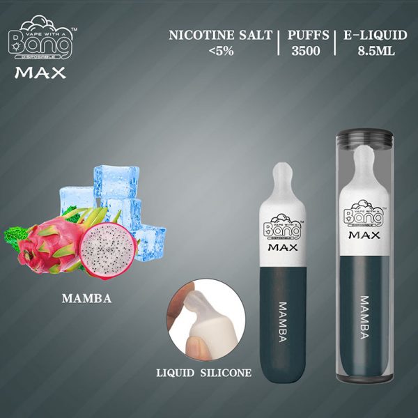 Bang Max Disposable Vape Pod Device Wholesale (3500 Puffs) - Image 3